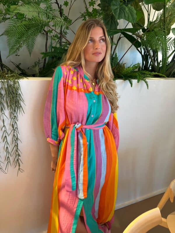 Dress Stripes & Colors - Image 2