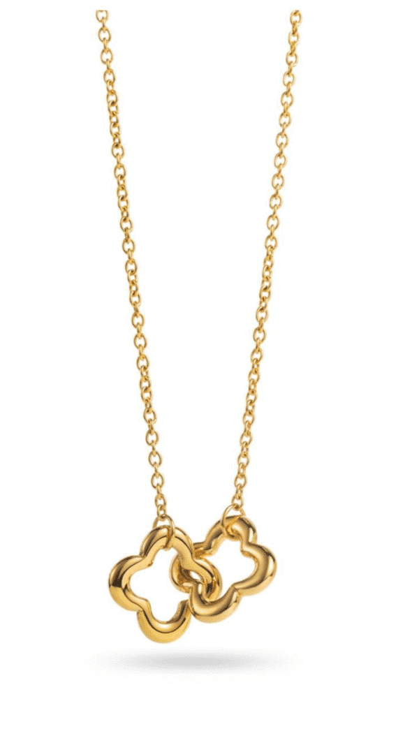 Necklace - Combi