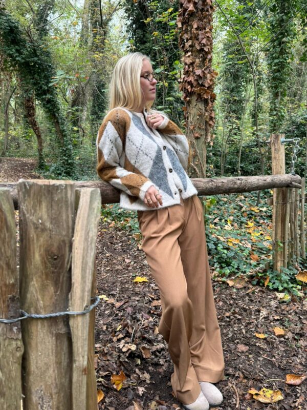 MARSEILLE - Pants Suede Brown