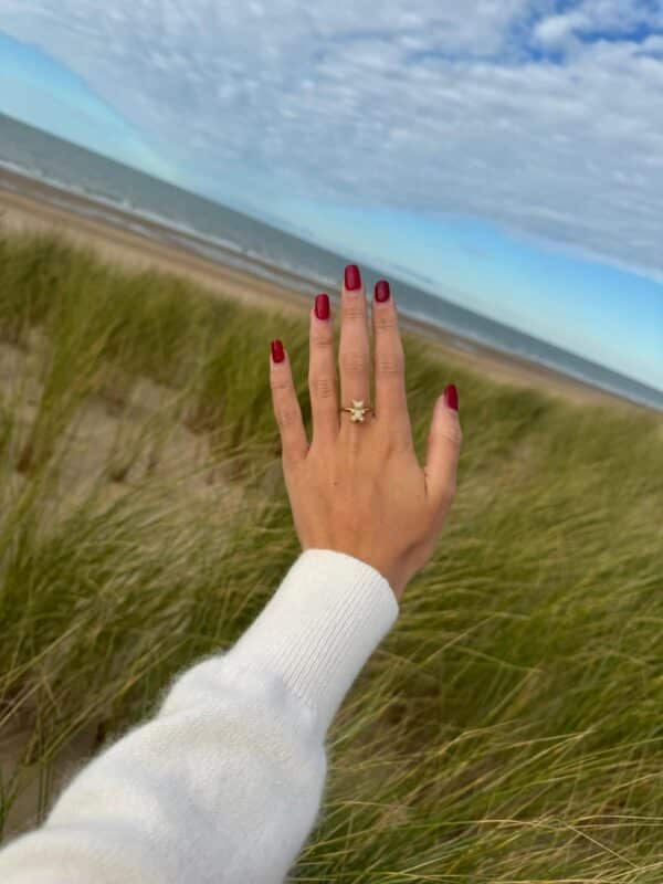 RING - Bear