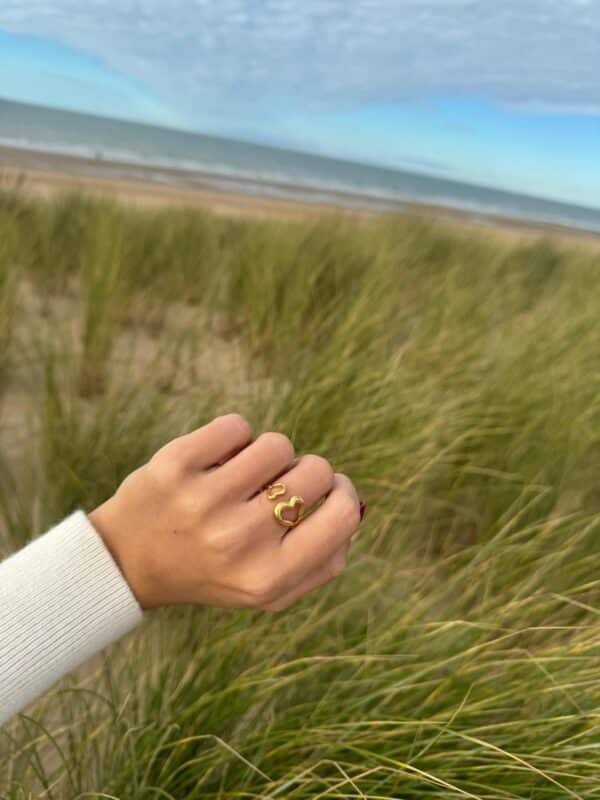 RING - Double Heart