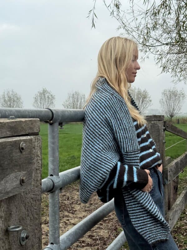 Amber - gilet stripes brown blue