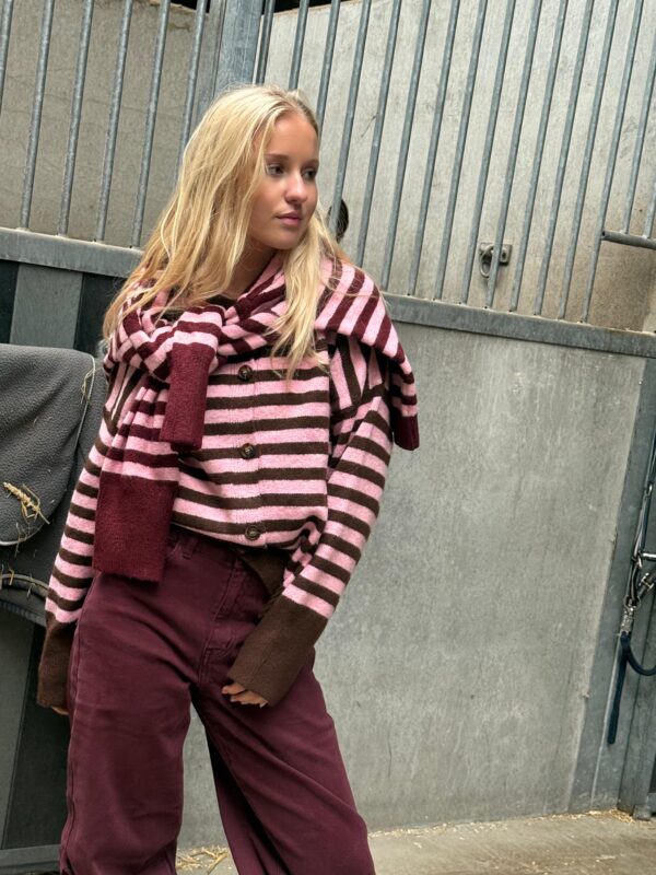 Amber - gilet stripes brown pink