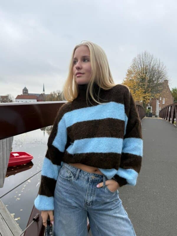 Ceci -  Knit stripe blue & brown