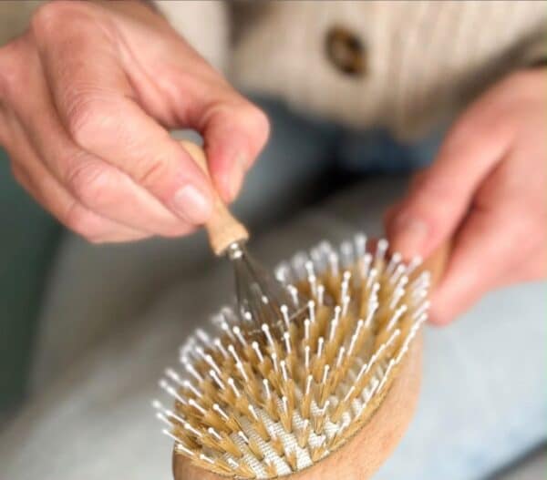 BACHA PARIS - BRUSH CLEANER